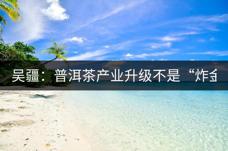 吳疆:普洱茶產(chǎn)業(yè)升級(jí)不是“炸金花” 吳疆:普洱茶產(chǎn)業(yè)升級(jí)不是“炸金花”