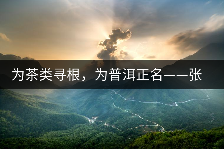 為茶類尋根，為普洱正名——張宏達(dá)的普洱茶研究