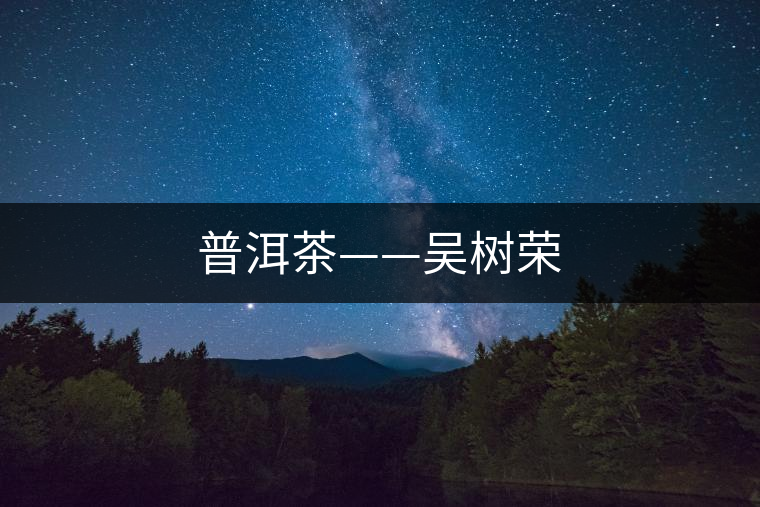 普洱茶——吳樹(shù)榮
