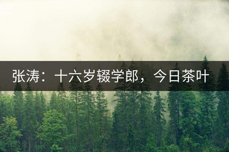 張濤：十六歲輟學郎，今日茶葉中堅