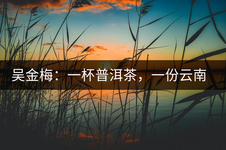 吳金梅：一杯普洱茶，一份云南情