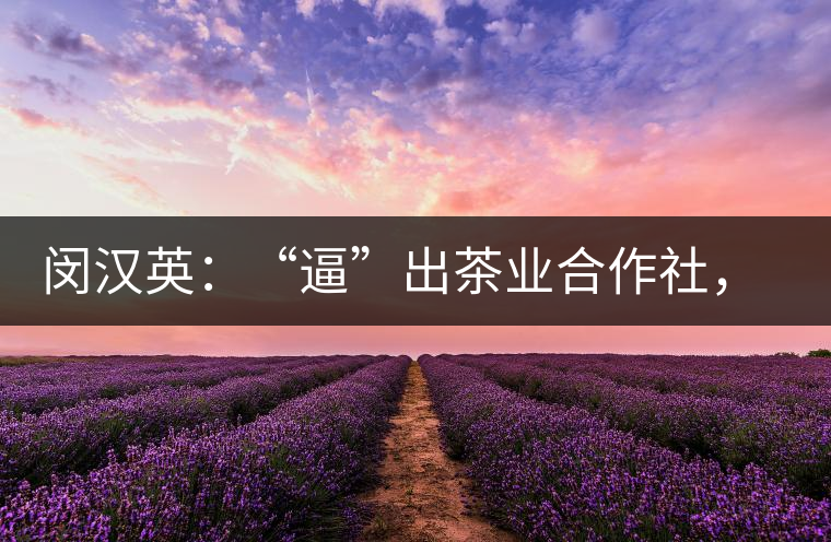 閔漢英：“逼”出茶業(yè)合作社，帶領村民走上致富路