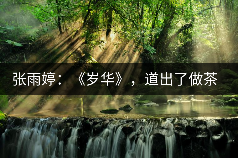 張雨婷：《歲華》，道出了做茶人的寂寞