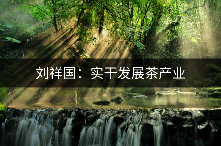 劉祥國(guó):實(shí)干發(fā)展茶產(chǎn)業(yè) 劉祥國(guó):實(shí)干發(fā)展茶產(chǎn)業(yè)