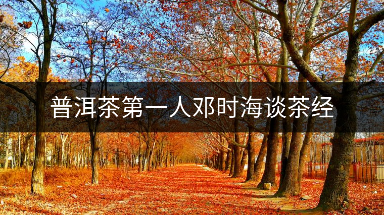 普洱茶第一人鄧時海談茶經 普洱茶第一人鄧時海談茶經