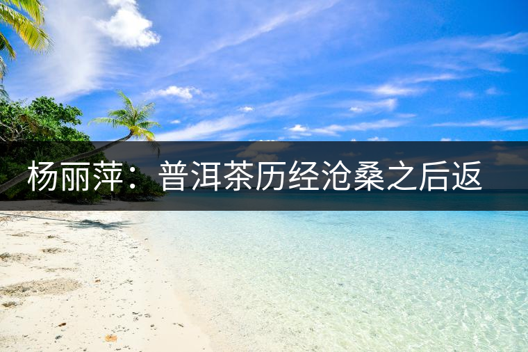 楊麗萍：普洱茶歷經滄桑之后返璞歸真