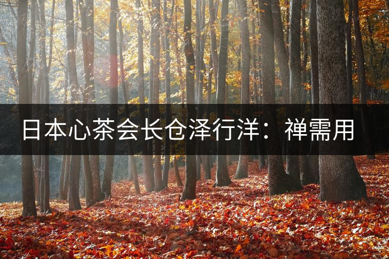 日本心茶會長倉澤行洋:禪需用茶去“抵達(dá)” 日本心茶會長倉澤行洋:禪需用茶去“抵達(dá)”