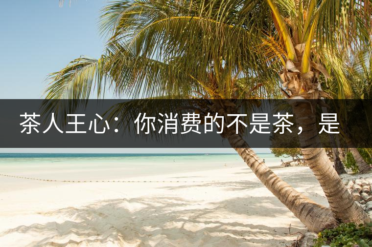 茶人王心：你消費的不是茶，是我