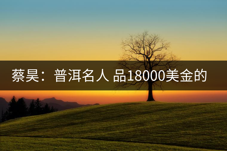 蔡昊：普洱名人 品18000美金的“宋聘號(hào)”