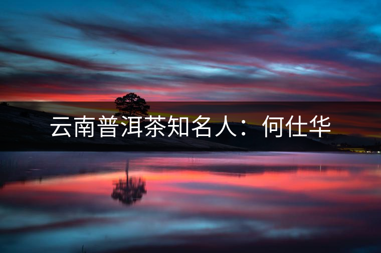 云南普洱茶知名人:何仕華 云南普洱茶知名人:何仕華