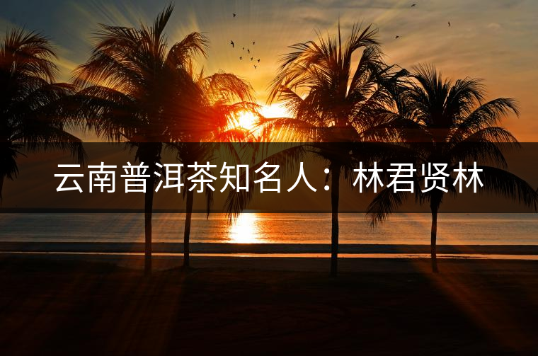 云南普洱茶知名人:林君賢林 云南普洱茶知名人:林君賢林