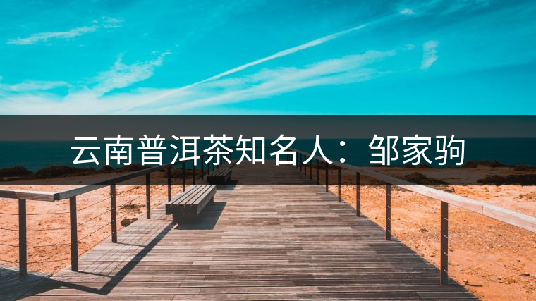 云南普洱茶知名人：鄒家駒