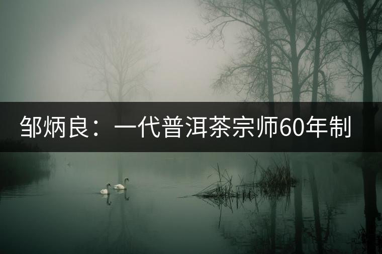 鄒炳良:一代普洱茶宗師60年制茶的傳奇故事 鄒炳良:一代普洱茶宗師60年制茶的傳奇故事