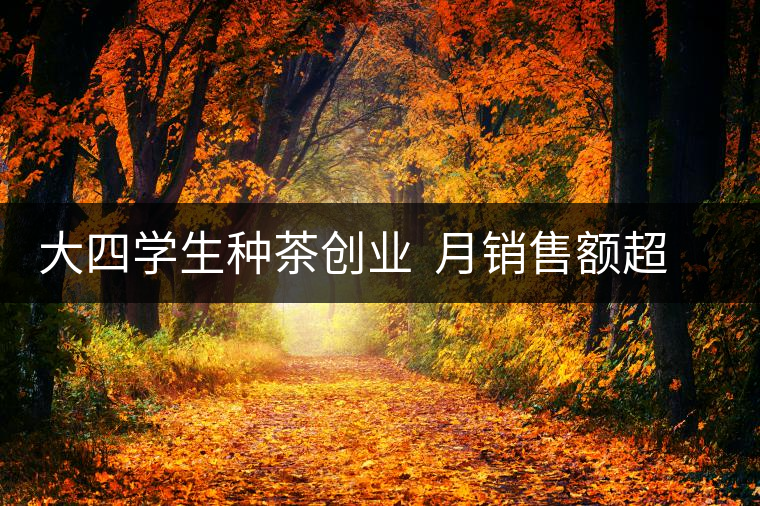 大四學(xué)生種茶創(chuàng)業(yè) 月銷(xiāo)售額超五十萬(wàn) 大四學(xué)生種茶創(chuàng)業(yè) 月銷(xiāo)售額超五十萬(wàn)