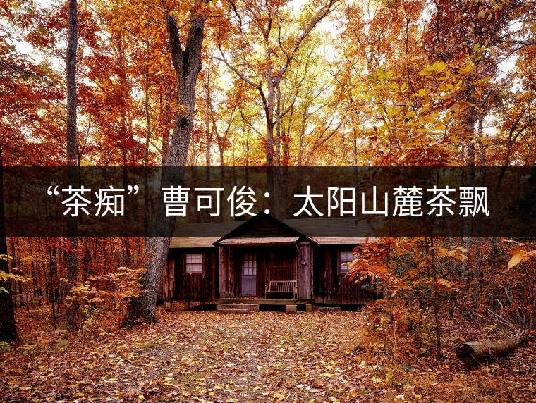 “茶癡”曹可俊：太陽山麓茶飄香，清明時節(jié)采茶忙