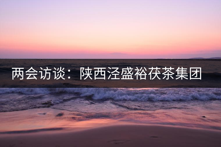 兩會訪談:陜西涇盛裕茯茶集團董事長馬恒光 兩會訪談:陜西涇盛裕茯茶集團董事長馬恒光