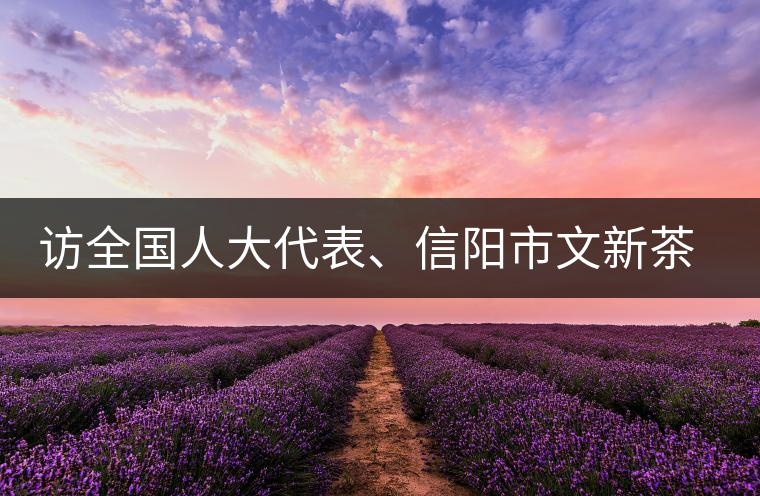 訪全國人大代表、信陽市文新茶葉有限責(zé)任公司董事長劉文新
