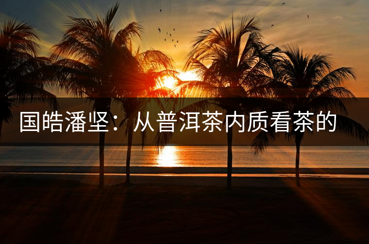 國皓潘堅:從普洱茶內(nèi)質(zhì)看茶的好壞 國皓潘堅:從普洱茶內(nèi)質(zhì)看茶的好壞