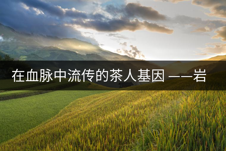 在血脈中流傳的茶人基因 ——巖罕嫩