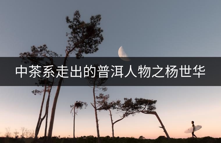 中茶系走出的普洱人物之楊世華 中茶系走出的普洱人物之楊世華