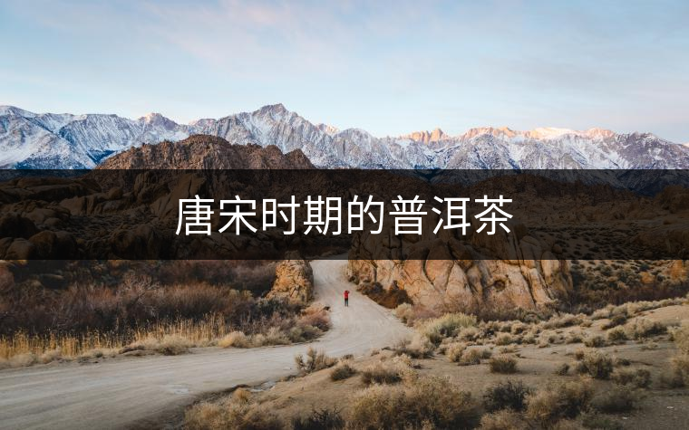 唐宋時期的普洱茶