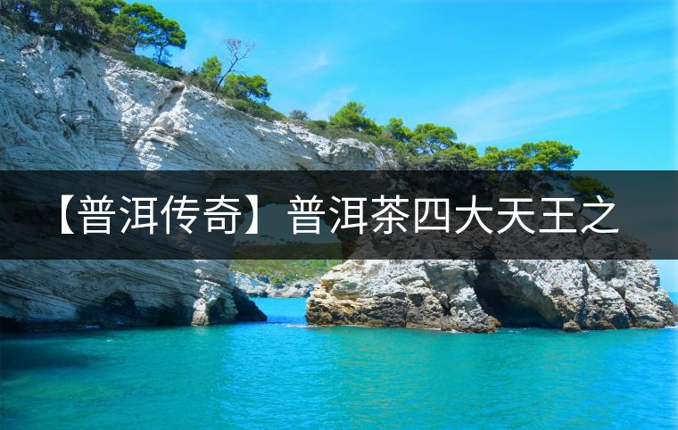 【普洱傳奇】普洱茶四大天王之宋聘號