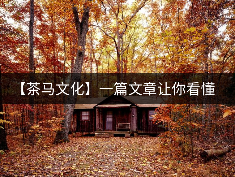 【茶馬文化】一篇文章讓你看懂茶葉的更迭興衰