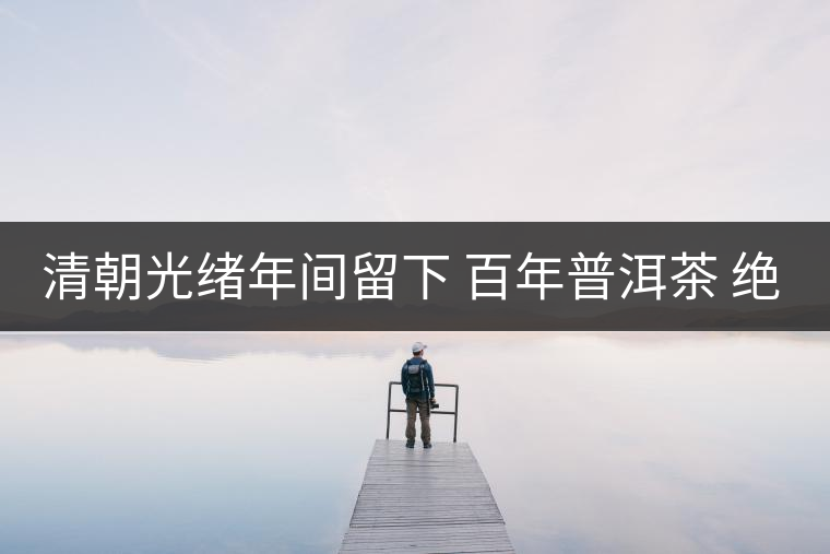 清朝光緒年間留下 百年普洱茶 絕對珍品 難得一見 清朝光緒年間留下 百年普洱茶 絕對珍品 難得一見