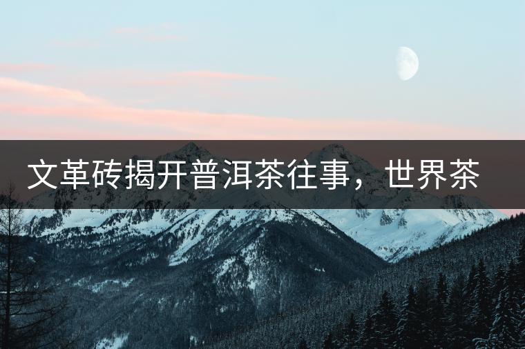 文革磚揭開(kāi)普洱茶往事，世界茶文化交流協(xié)會(huì)成員共品經(jīng)典文革磚！