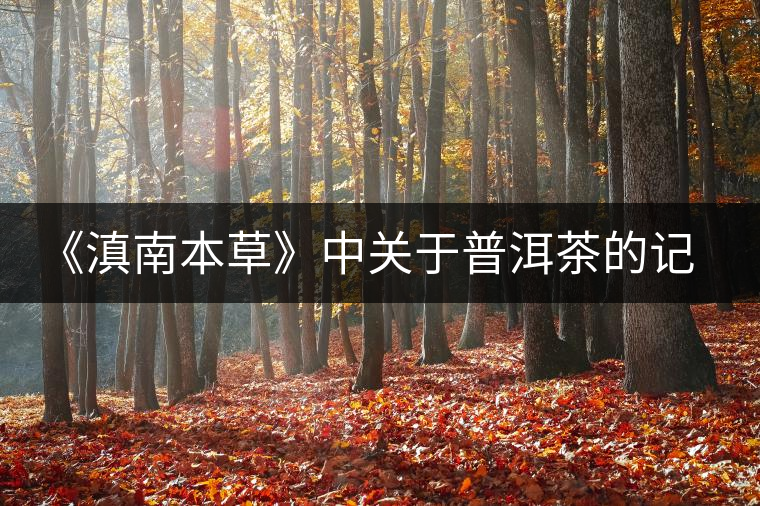 《滇南本草》中關于普洱茶的記載