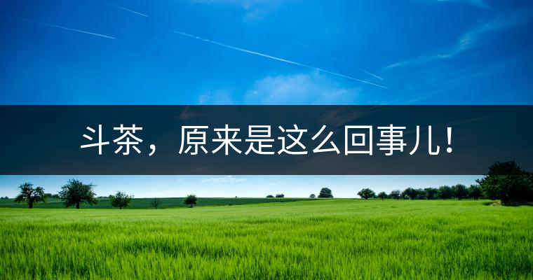 斗茶，原來(lái)是這么回事兒！