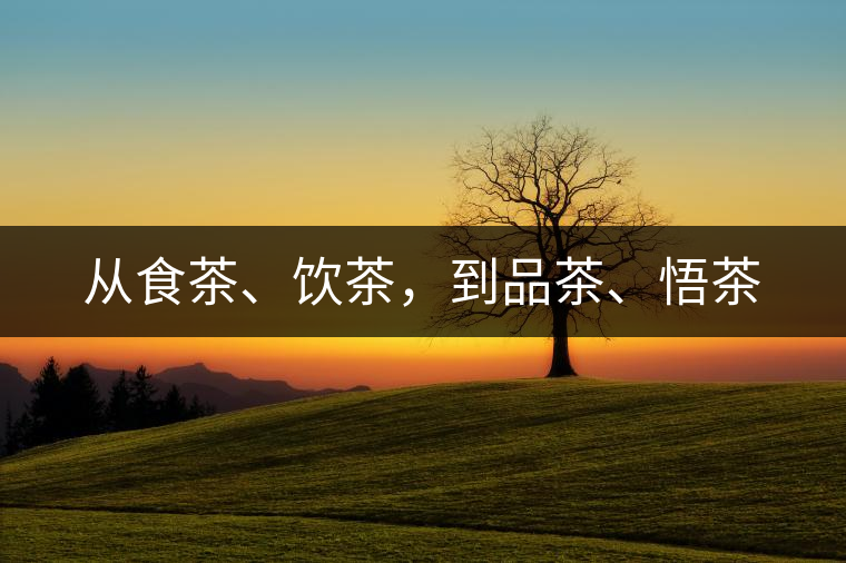 從食茶、飲茶，到品茶、悟茶