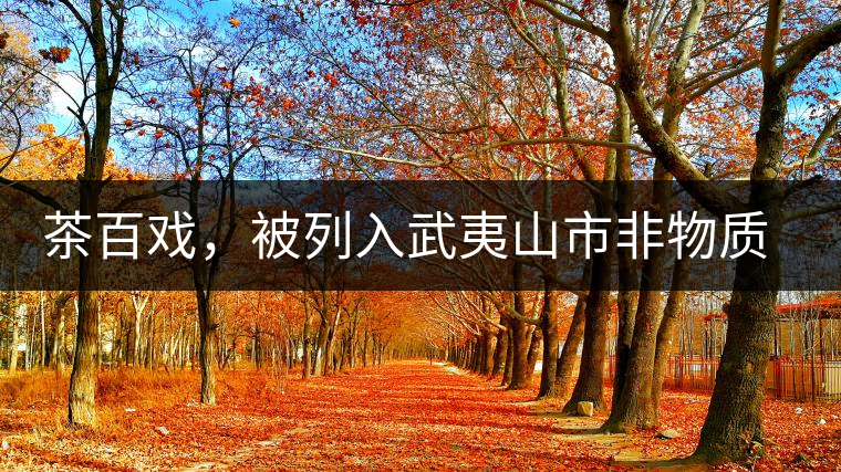 茶百戲，被列入武夷山市非物質(zhì)文化遺產(chǎn)的茶湯