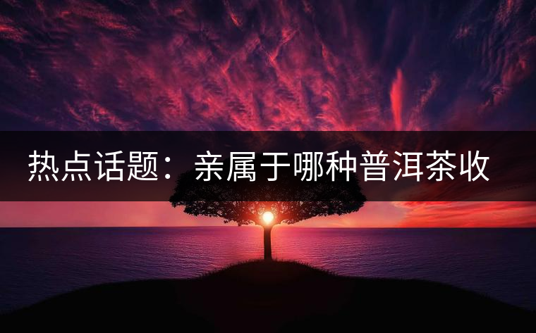 熱點(diǎn)話題：親屬于哪種普洱茶收藏者？