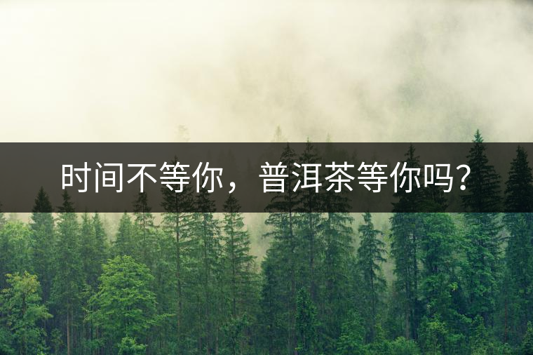 時間不等你，普洱茶等你嗎？