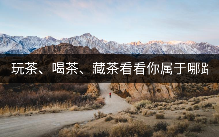 玩茶、喝茶、藏茶看看你屬于哪路茶神！