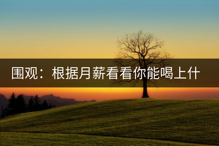 圍觀：根據(jù)月薪看看你能喝上什么茶？