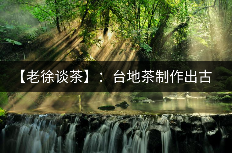 【老徐談茶】：臺地茶制作出古樹茶口感？只需一招，輕松騙過你 ?
