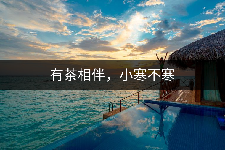 有茶相伴，小寒不寒