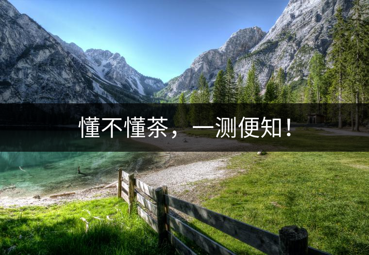 懂不懂茶，一測(cè)便知！