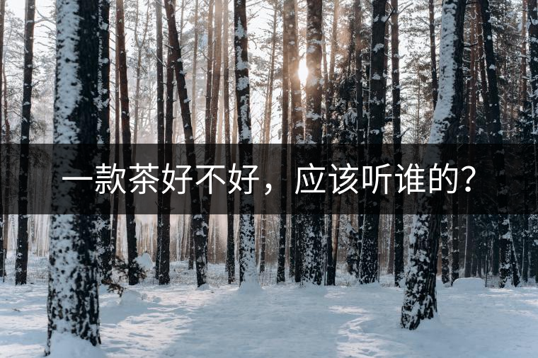 一款茶好不好，應(yīng)該聽誰的？