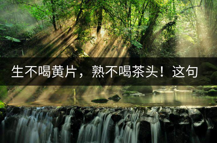 生不喝黃片，熟不喝茶頭！這句話你了解多少？
