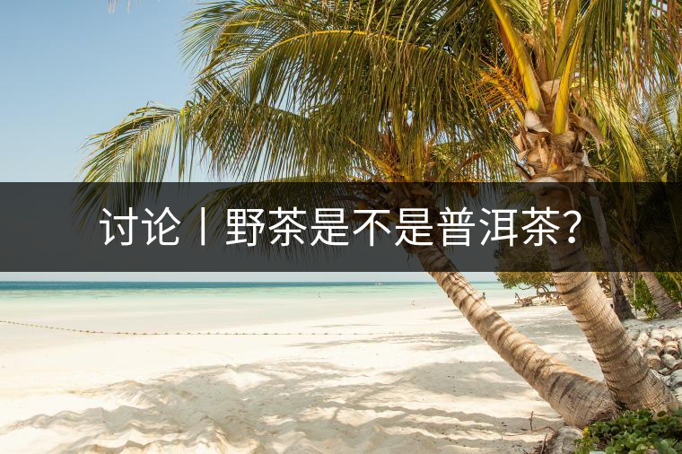 討論丨野茶是不是普洱茶？