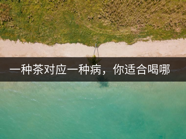 一種茶對應一種病，你適合喝哪一種呢？