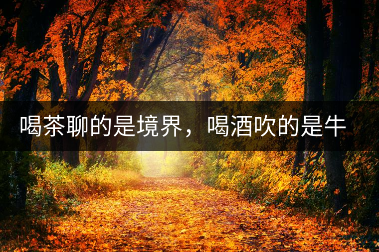 喝茶聊的是境界，喝酒吹的是牛皮