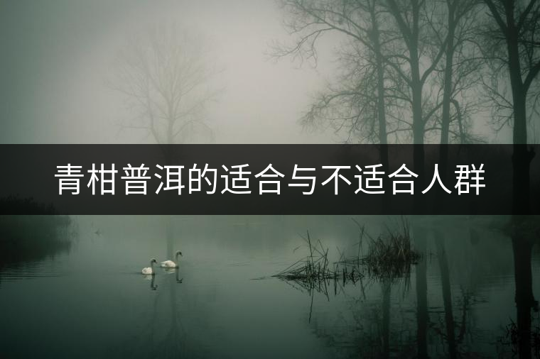 青柑普洱的適合與不適合人群 青柑普洱的適合與不適合人群