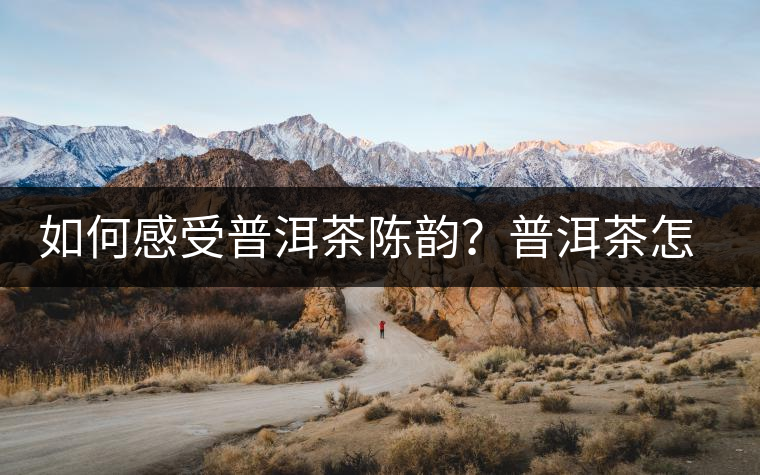 如何感受普洱茶陳韻？普洱茶怎么喝？