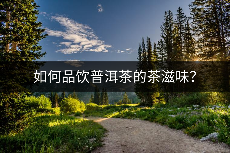 如何品飲普洱茶的茶滋味？