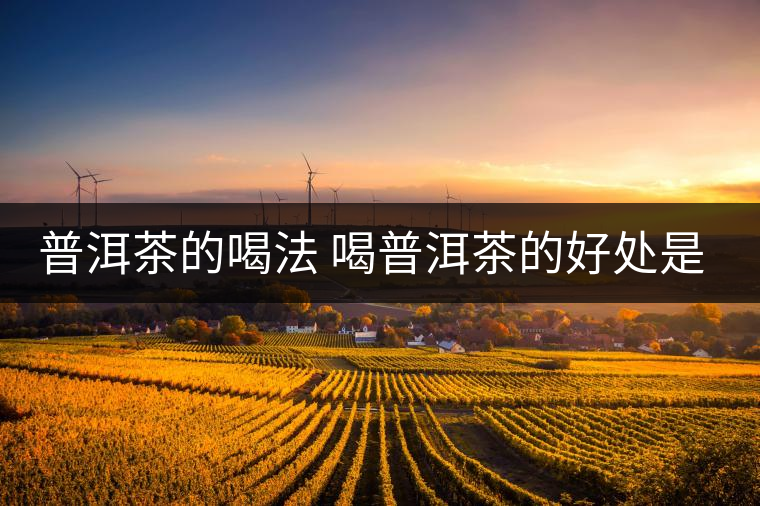 普洱茶的喝法 喝普洱茶的好處是什么？
