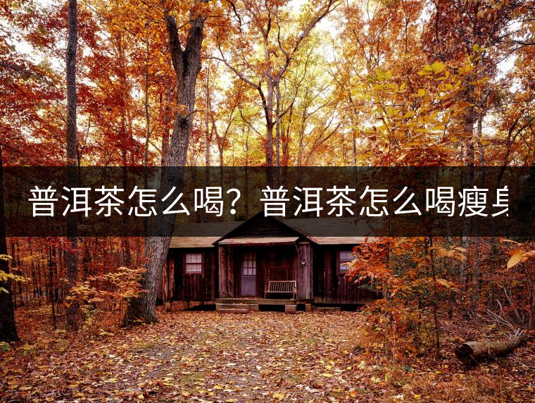 普洱茶怎么喝？普洱茶怎么喝瘦身？